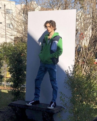 Timothee Chalamet pic #1360528