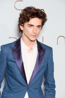 photo 9 in Chalamet gallery [id1268102] 2021-09-09 00:00:00