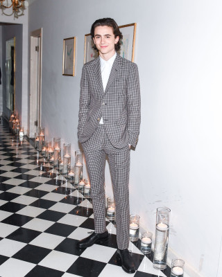photo 9 in Timothee Chalamet gallery [id1308989] 2022-09-04 00:00:00