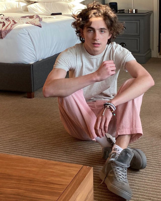 Timothee Chalamet pic #1355428