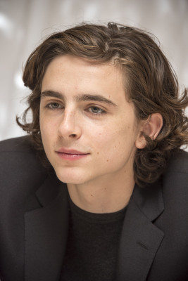Timothee Chalamet pic #1334363