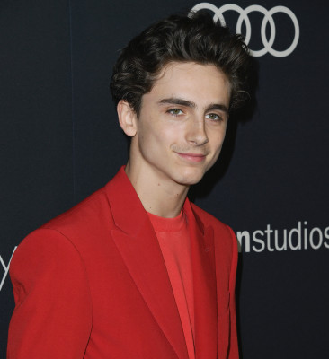 photo 10 in Timothee Chalamet gallery [id1290533] 2021-12-29 00:00:00