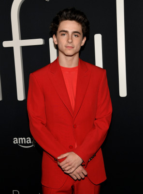 photo 22 in Timothee Chalamet gallery [id1290521] 2021-12-29 00:00:00