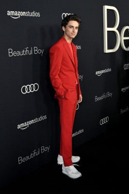 photo 23 in Timothee Chalamet gallery [id1290520] 2021-12-29 00:00:00