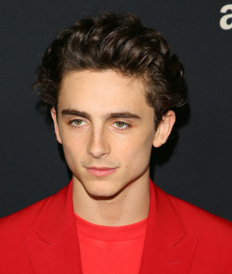 photo 16 in Chalamet gallery [id1290527] 2021-12-29 00:00:00