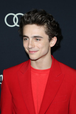 photo 27 in Chalamet gallery [id1290516] 2021-12-29 00:00:00