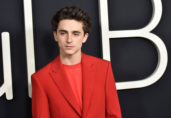 Timothee Chalamet pic #1290513