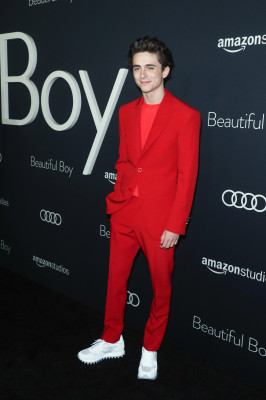 photo 29 in Chalamet gallery [id1290514] 2021-12-29 00:00:00