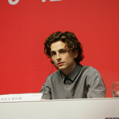 Timothee Chalamet pic #1326981