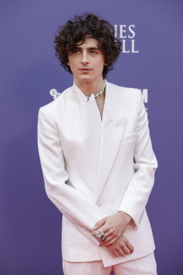 Timothee Chalamet pic #1312933
