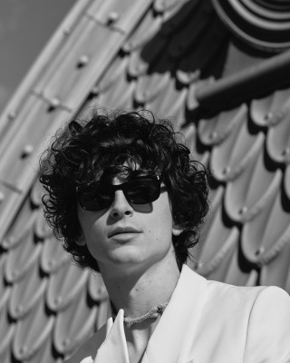 Timothee Chalamet pic #1313134