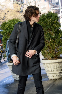 Timothee Chalamet pic #1296641