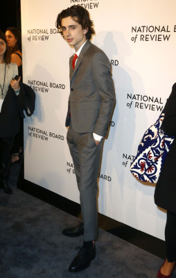 Timothee Chalamet pic #1327405