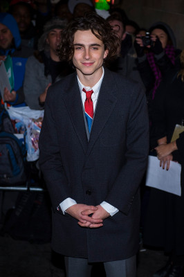 Timothee Chalamet pic #1327403