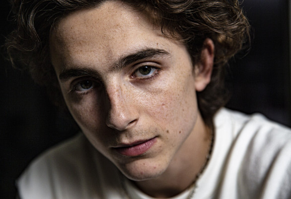 Timothee Chalamet pic #1316467