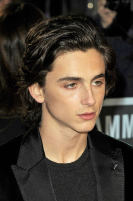 photo 11 in Chalamet gallery [id1321018] 2023-01-29 00:00:00