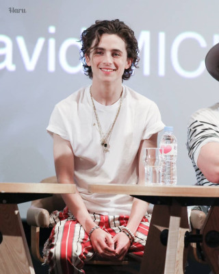 Timothee Chalamet pic #1324699