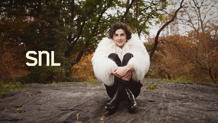 Timothee Chalamet pic #1338553