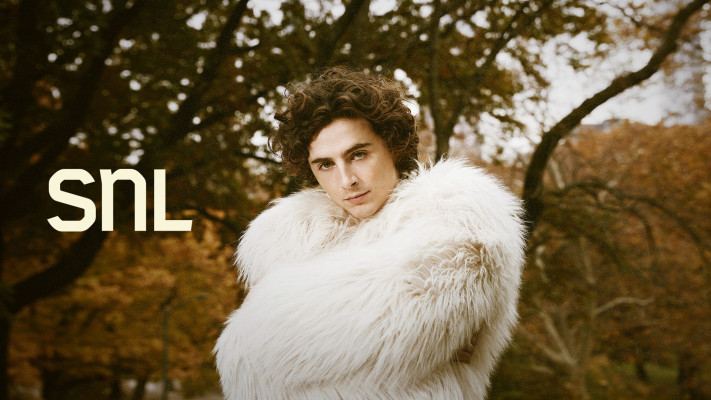 Timothee Chalamet pic #1338554