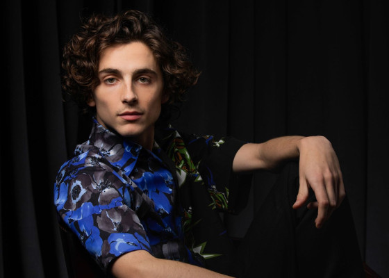 Timothee Chalamet pic #1344683