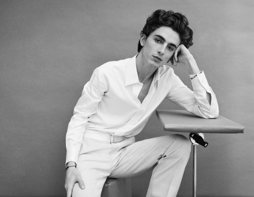Timothee Chalamet pic #1275337
