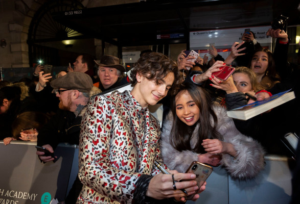 Timothee Chalamet pic #1302259