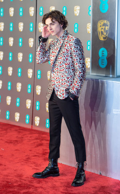 photo 6 in Chalamet gallery [id1302260] 2022-05-25 00:00:00