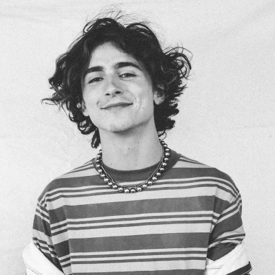Timothee Chalamet pic #1313998