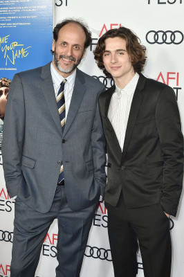 Timothee Chalamet pic #1302819