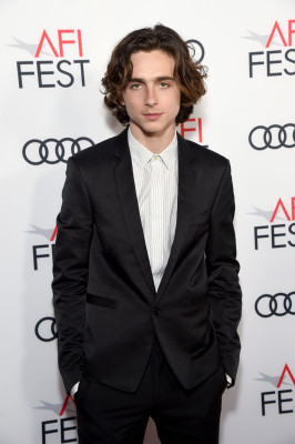 Timothee Chalamet pic #1302825