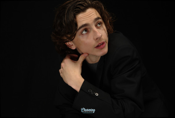 Timothee Chalamet pic #1320169