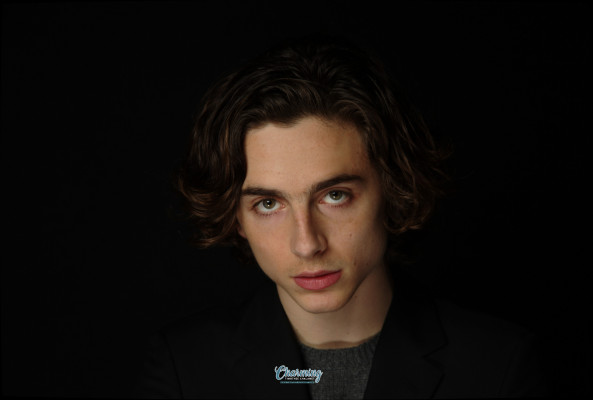 Timothee Chalamet pic #1320170