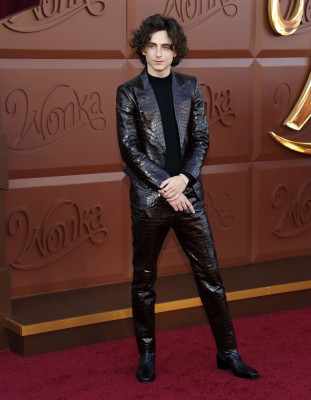 Timothee Chalamet pic #1340850