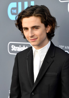 Timothee Chalamet pic #1328475