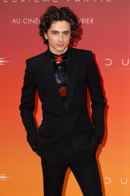 Timothee Chalamet pic #1346625