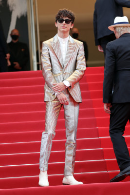 Timothee Chalamet pic #1295886