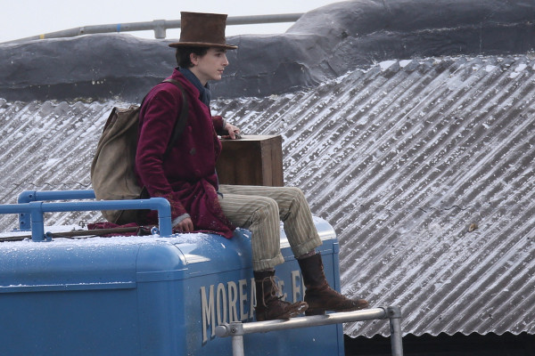 photo 20 in Timothee Chalamet gallery [id1274617] 2021-10-15 00:00:00