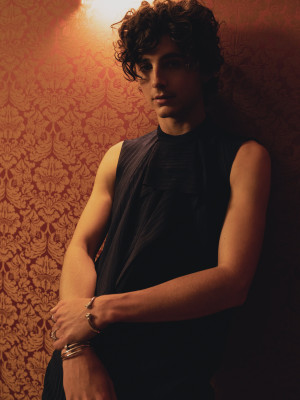Timothee Chalamet pic #1317214