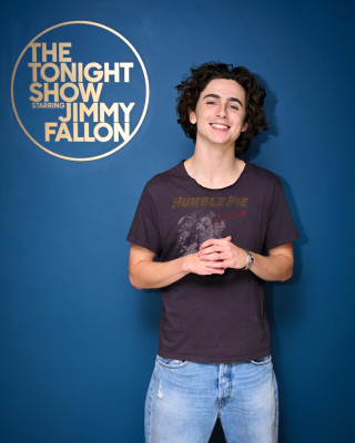 Timothee Chalamet pic #1349763