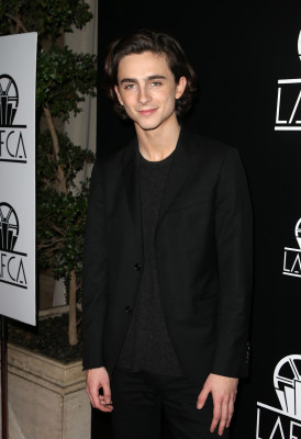 Timothee Chalamet pic #1329795