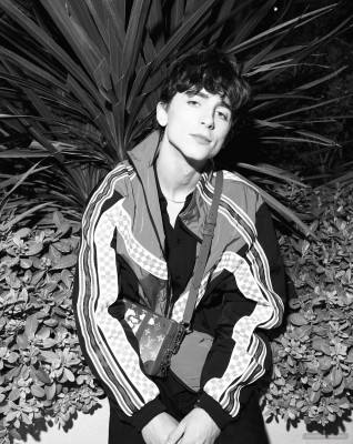 Timothee Chalamet pic #1318987