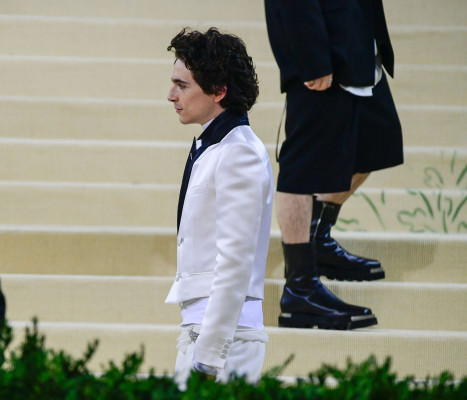 Timothee Chalamet pic #1331875
