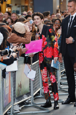 Timothee Chalamet pic #1317658