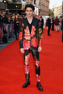 Timothee Chalamet pic #1317655