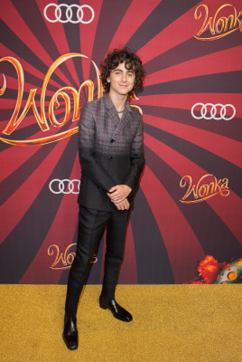 Timothee Chalamet pic #1341254