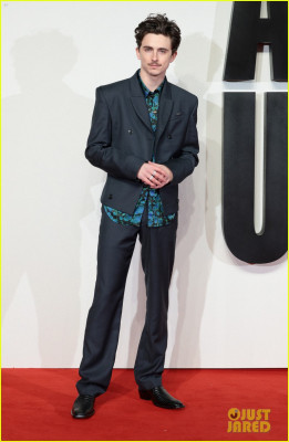 photo 11 in Timothee Chalamet gallery [id1371479] 2025-05-15 00:00:00