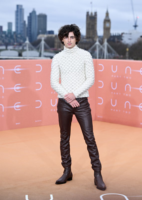 Timothee Chalamet pic #1348120