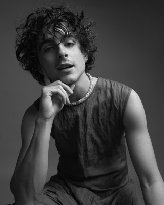 Timothee Chalamet pic #1348046