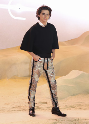 Timothee Chalamet pic #1348308