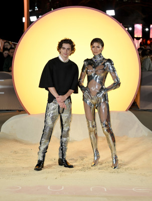 Timothee Chalamet pic #1346349